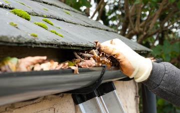 gutter cleaning Townend