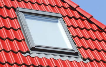 roof windows Townend