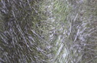 Townend fibreglass roof work